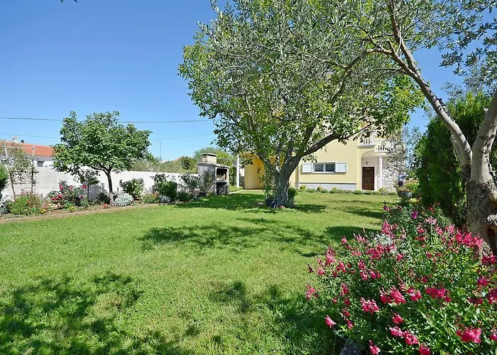 Sweet Escape 沃迪切